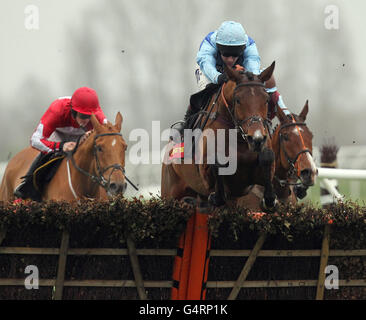 Fingal Bay (Mitte) mit Richard Johnson springt vor Double Ross und Ballyrock und gewinnt das Bathwick Tyres Challow Novices Hurdle Race während des Neujahrs-Familienrennens auf der Newbury Racecourse, Bekshire. Stockfoto