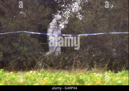 Die forensische Polizei nimmt am Tatort Teil, nachdem menschliche Überreste auf dem Anwesen Sandringham in Norfolk entdeckt wurden. Stockfoto