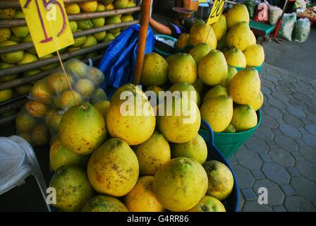 Farang Obst, Marktstand in Chiang Mai, Thailand Stockfoto