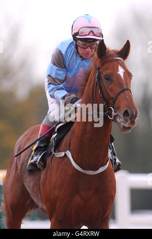 Reichlich Fang von Jockey Jimmy Quinn geritten geht nach Post Vor der Connolly's Redmills 'Pure Nutrition' Nursery Stockfoto