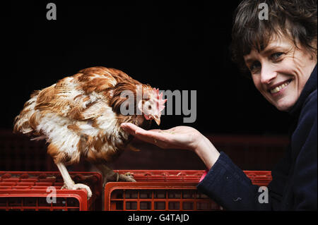 Jane Howorth, Gründerin des British Hen Welfare Trust, mit der letzten britischen Junghenne, Liberty, die in den Ruhestand auf einer Farm in Chulmleigh, Devon, verlegt wurde und damit das Ende einer Ära für kommerzielle Legehennen markiert, sagte die Wohltätigkeitsorganisation. Stockfoto