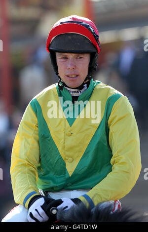 Pferderennen - The Showcase - Cheltenham Racecourse. Andrew Lynch, Jockey Stockfoto