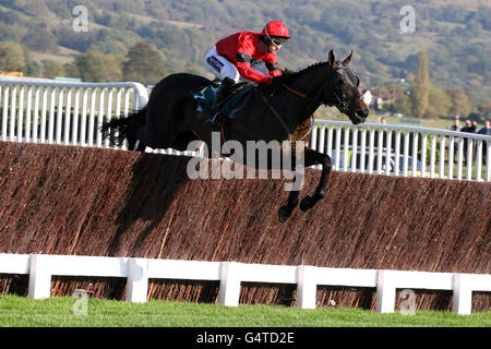 Pferderennen - The Showcase - Cheltenham Racecourse. William Kennedy, Jockey Stockfoto