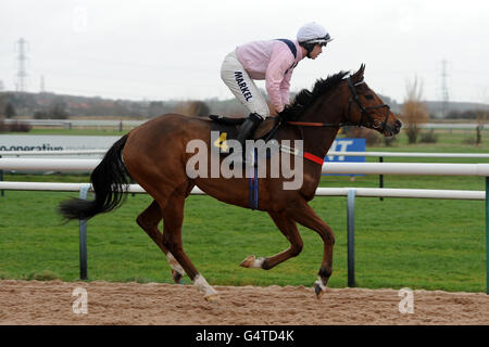 Pferderennen - Southwell Racecourse Stockfoto