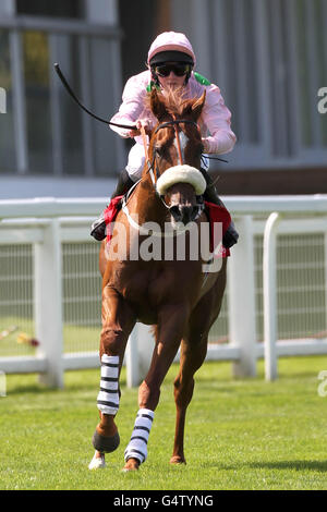 Horse Racing - Betfair Weekend - Tag drei - Ascot Racecourse Stockfoto