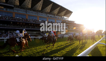 Läufer und Reiter im Brightwells Ascot Sales Race machen Ihr Weg vorbei an der Haupttribüne und Endstation an Asoct Racecourse Stockfoto