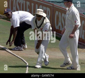 Cricket Adams Verletzungen Stockfoto