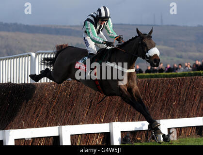 Midnight Chase mit Dougie Costello springt während des Festival Trials Day auf der Cheltenham Racecourse, Gloucestershire, die letzte auf ihrem Weg zum Sieg in Argento Chase. Stockfoto