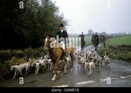 Jagd - Herzog von Beaufort Jagd - Gloucestershire Stockfoto