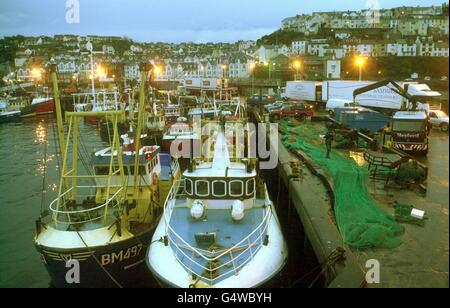 EU-Fisch/Brixham 4 Stockfoto