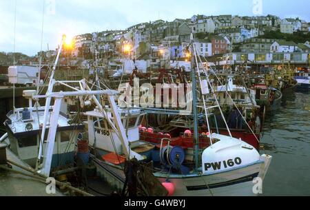 EU-Fisch/Brixham Stockfoto