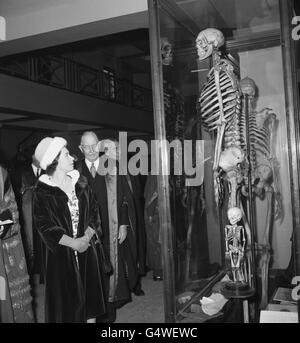 Royalty - trifft die Königin die irischen Riesen - Hunterian Museum, London Stockfoto