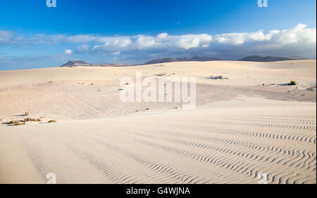 Nördlichen Fuerteventura, Kanarische Inseln, Naturschutzgebiet Dünen von Corralejo, abends lange Schatten Stockfoto