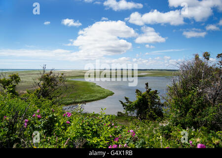 Teich, Cape Cod, Massachusetts an einem sonnigen Tag Salz Stockfoto