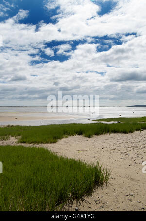 Plymouth, Massachusetts Strand mit Wildgras und Wolken Stockfoto