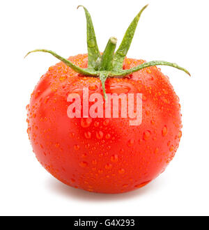 rote Tomate isoliert Stockfoto