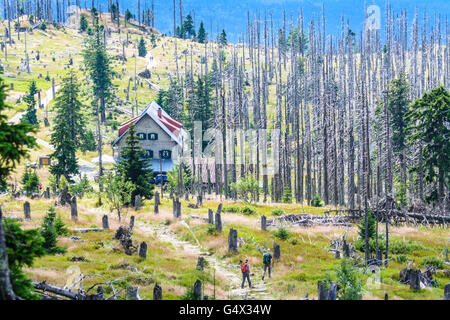 Moutain Hütte Waldschmidthaus, tote Bäume Wandern Weg, Wanderer, Nationalpark Bayerischer Wald, Nationalpark Bayerischer Wald, Germa Stockfoto