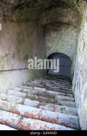 Treppe, die in einem alten Keller Stockfoto