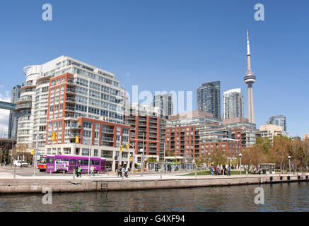 TORONTO - 17. Mai 2016: Harbourfront ist ein Stadtteil am nördlichen Ufer des Lake Ontario im im Stadtzentrum gelegenen Kern der Ci Stockfoto