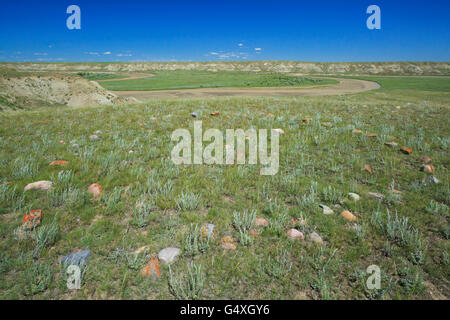 Tipi-Ring auf Grasland oberhalb der Milch River Valley in der Nähe von Havre, montana Stockfoto