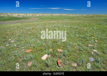 Tipi-Ring auf Grasland oberhalb der Milch River Valley in der Nähe von Havre, montana Stockfoto