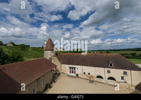 Vignes, Château DE CHAREIL-CINTRAT dans le Bourbonnais, Allier, Frankreich, europa Stockfoto