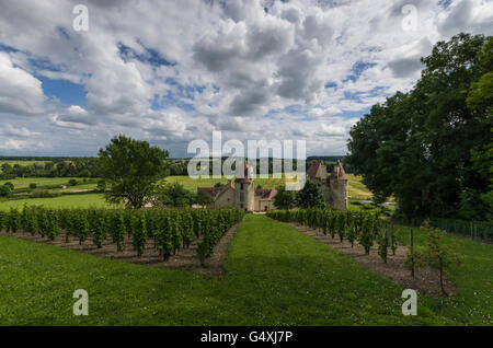 Vignes, Château DE CHAREIL-CINTRAT dans le Bourbonnais, Allier, Frankreich, europa Stockfoto