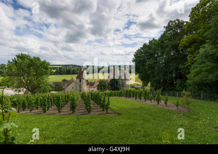 Vignes, Château DE CHAREIL-CINTRAT dans le Bourbonnais, Allier, Frankreich, europa Stockfoto