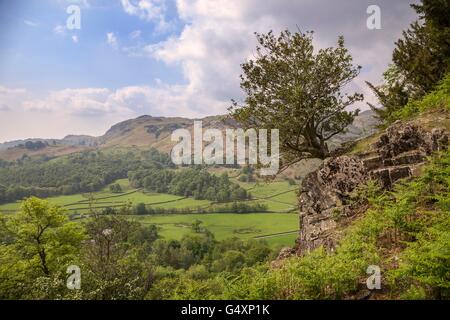 Blick vom Helm Crag, Lake District, Cumbria, England Stockfoto