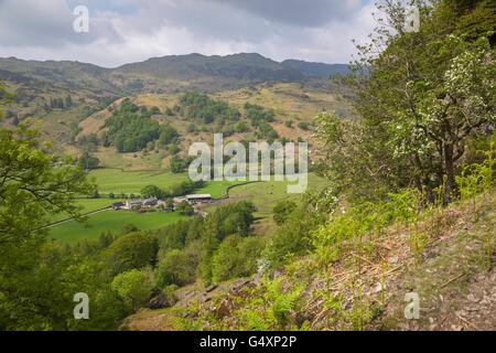 Blick vom Helm Crag, Lake District, Cumbria, England Stockfoto