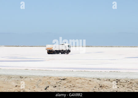 Namibia, Erongo, Walvis Bay, Dorob Nationalpark, Salz wird per LKW transportiert. Stockfoto