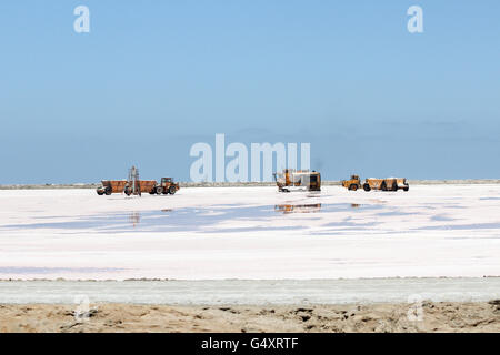 Namibia, Erongo, Walvis Bay, Dorob Nationalpark, Salz Hain Stockfoto