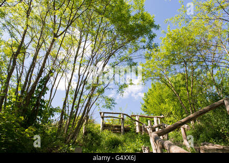 Deutschland, Berlin, Charlottenburg-Wilmersdorf, hölzerne Treppe zum Himmel auf dem Teufelsberg Stockfoto