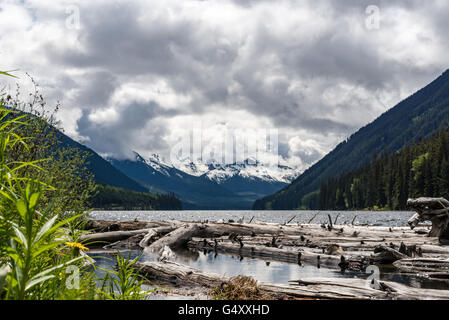 Kanada, British Columbia, Küste-Berge, meldet sich treiben in den Bergsee in der Nähe von Coast Mountains Stockfoto