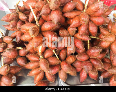 Thailand, Surat Thani, Ko Samui, Salak Frucht (Rakam) ist die Frucht Salak Palm und heißt auch Schlange Obst. Er wächst in ganz Thailand Stockfoto