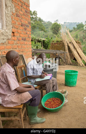 Ein Mikrobearbeitung Stationsleiter Fragen Zahlung eines Kaffee-Bauern nach der Ernte und Lieferung seines Kaffees in Uganda. Stockfoto