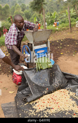 Ein Bauer betreibt eine mechanisierte Kaffee Kirsche Pulper bei einer Bearbeitungsstation in Kasese District, Uganda. Stockfoto