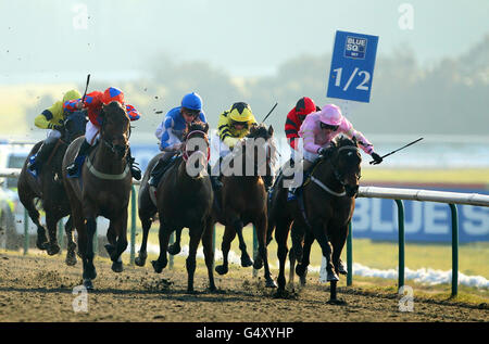 Pferderennen - Lingfield Rennbahn Stockfoto