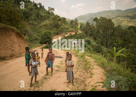 Kinder im ländlichen Kasese District, Uganda, Ruwenzori-Gebirge. Stockfoto