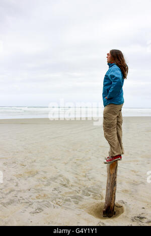 Neuseeland, Südinsel, Dunedin, Otago Peninsula, Albert Bay Stockfoto