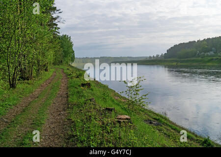 Bau des Wasserkraftwerks Vitebsk. Die Fluss Küste - die abgespeckte Bäume in einer Überschwemmung Zone anzeigen Stockfoto