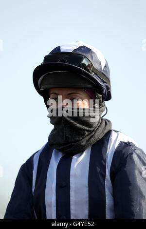 Horse Racing - Blue Square Sprint Serie - Lingfield Park Stockfoto