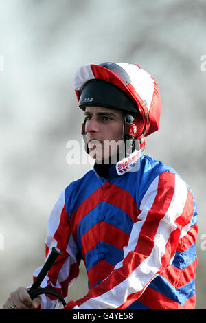 Horse Racing - Blue Square Sprint Serie - Lingfield Park Stockfoto