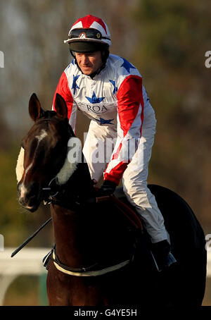 Horse Racing - Blue Square Sprint Serie - Lingfield Park Stockfoto