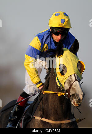 Horse Racing - Blue Square Sprint Serie - Lingfield Park Stockfoto