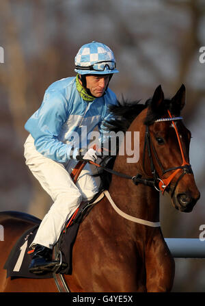 Horse Racing - Blue Square Sprint Serie - Lingfield Park Stockfoto