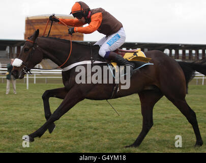 Pferderennen – Betfair Free Friday – Rennbahn Newbury. Jockey Sam Waley-Cohen gewinnt auf lange Sicht die Betfair Denamn Steeple Chase während des Betfair Free Friday auf der Newbury Racecourse, Newbury. Stockfoto