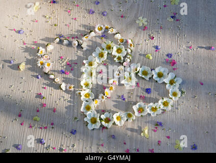 Ineinander verschlungene Herzen von Daisy und Erdbeere Blumen auf gemalte Tafel, bestreut mit kleinen Sommerblumen. Stockfoto