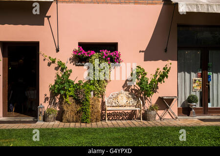 Die Pflanzen wachsen an der Wand der Locanda dei Cinque Cerri Restaurant und Gästehaus in Sasso Marconi, Italien. Stockfoto