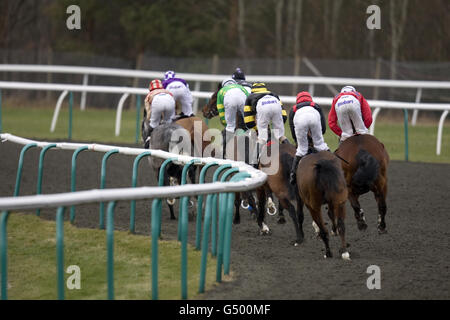 Pferderennen - Blue Square Sprint Series Nachmittagsrennen - Lingfield Park. Eine allgemeine Ansicht, wie Läufer und Reiter während der Blue Square Bet Handicap konkurrieren Stockfoto